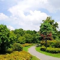 经典电视剧老版《三国演义》插曲《貂蝉已随清