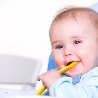 爆笑虫子大电影之变形金刚,太炫酷了!