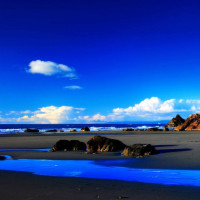 春天的花儿会开的个人频道