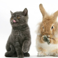 支支吾吾的个人频道