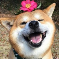 开怀一笑那些事儿的个人频道