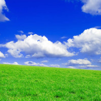 浅蓝得天空的个人频道