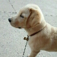 神仙与财神的个人频道