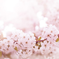 胡一天吃货人设与耿直人设并存吐槽魏大勋鬼鬼