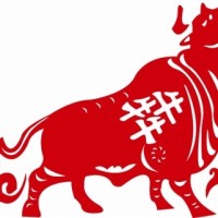 股海上的灯塔的个人频道