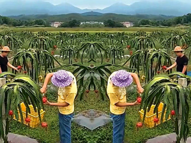 网红大爷鬼步舞跳不停,丹丹美女来助威,精彩无