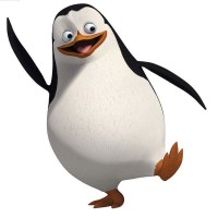 小灰鹅的个人频道