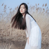 铲屎官爱生活34534的个人频道