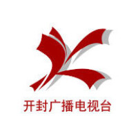 开封广播电视台我市书香汴梁 城市书房首座书房寻宋书房正式开放 阅读
