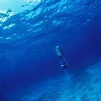 盘点莱万七大技术动作 传射过人样样精通