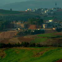 儿子不上学,非要走职业电竞!嘉宾痛斥:什么破英