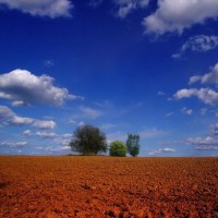 美丽的新西兰姑娘嫁到中国见到长辈直接叫名字