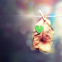 曾拒绝拜在赵本山的门下,身价狂甩小沈阳几条