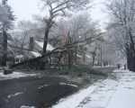 强风降雪天气袭美超31万民众断电 至少2人死亡