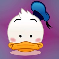 老白看娱乐的个人频道