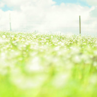 三个外国妹子看中国的抖音,前面很平静,到后面