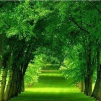 温暖的弦:张钧宁怀孕,张翰上演渣男不承认,导致