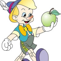 袁莎老师大撮指法教学, 让你轻松入门古筝