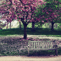 孤帆去悠悠的个人频道