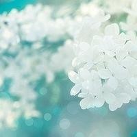 旭雪小知识的个人频道