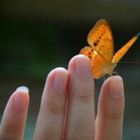 脉脉好养生的个人频道