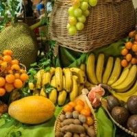 四世中医传下来的腹部v中医健身减肥视频教程,尼康n7200操作说明图片