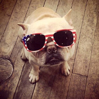 天天影视2.2易如意版修改教程-1314资源网出品