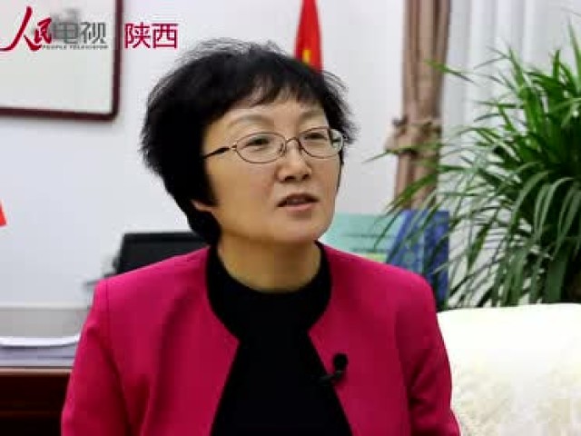 人民网专访铜川市印台区区长李亚莉
