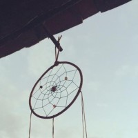 宝宝巴士:益智动画,奇奇妙妙的挖土机太酷了,我