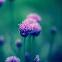 岳云鹏做客央视《面对面》,回忆打工往事,泪流