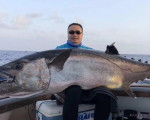 6人捕获236斤巨型金枪鱼 打破世界纪录