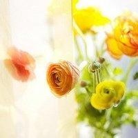 穷游穷开心的个人频道