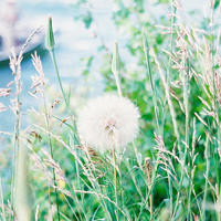 劲爆:周星驰和张家辉比十三张,张家辉先选都赢