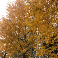悍刀雪中行的个人频道