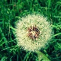 刺激战场米格:秒探头射击 设置开挂?苹果玩家