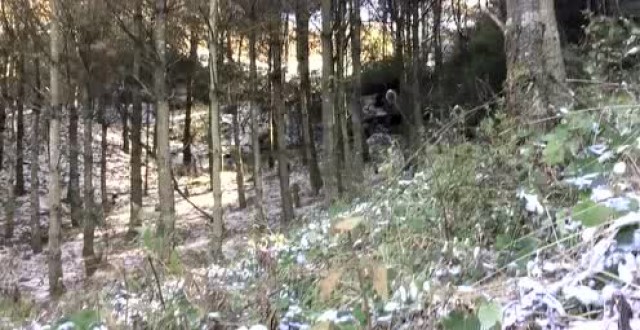 没有见过富源文笔山上阳光下的冰花,冬天是不