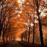 神奇宝贝,智爷手底下的神奇宝贝,随随便便挑战