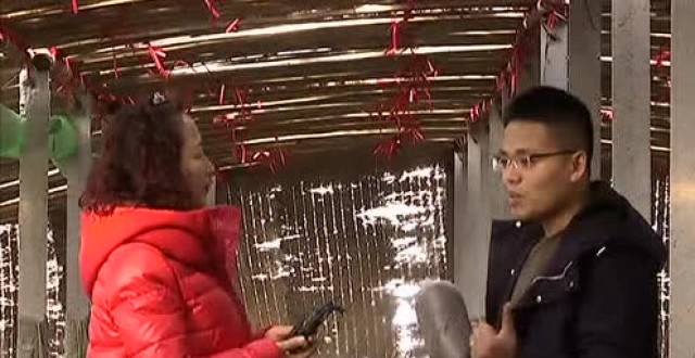 台小伙把黑皮鸡枞菌种到全国7大城市,手机视