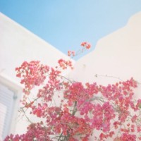 美女被绑住四肢,强行灌下药物,反抗也只是徒劳