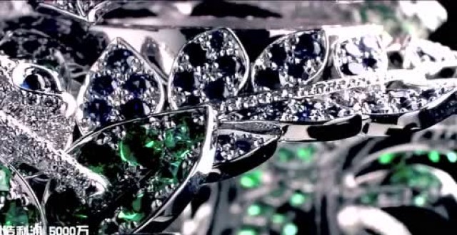 深中浩路演视频