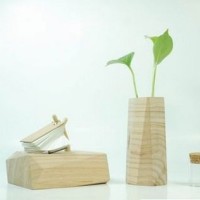 杨丽青和甄子丹这身手真不是吹的,打斗场面超