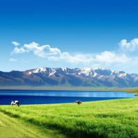 大乐透18006期综合走势分析