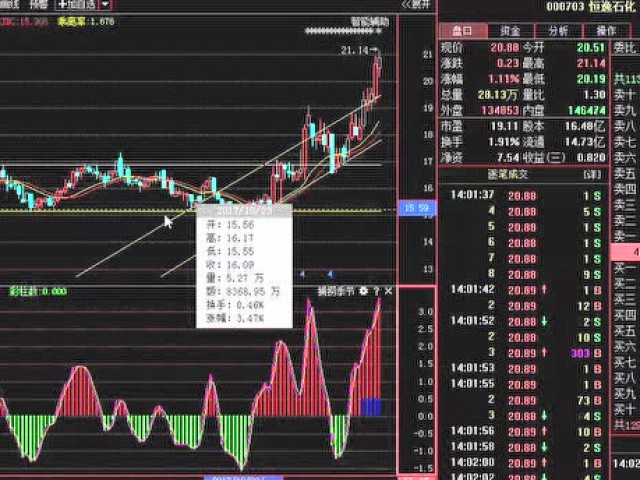 国产芯片第一龙头股,证金汇金携手30亿增持,将
