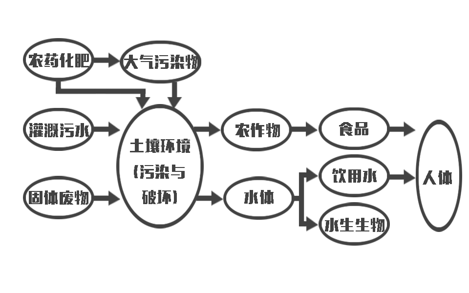 {与你为邻,初三500}.