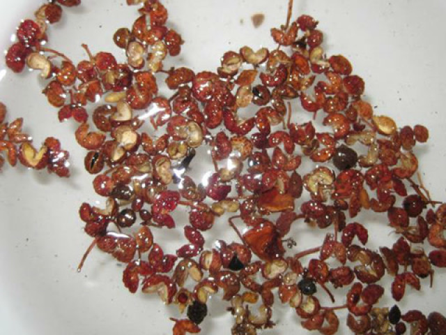 湿气引起湿疹!隔壁大爷1土方子不用1毛钱,彻底