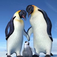 侠岚三:统领太极热身,弋痕夕旁看傻眼