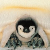 晓趣视频的个人频道