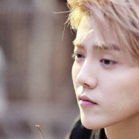 大西瓜搞笑视频的个人频道 - 专辑列表