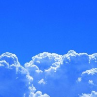 忠言道的个人频道