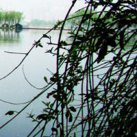 林三岁天地的个人频道